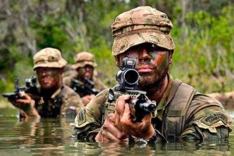 Royal Marines will get a new Colt C7 assault rifle and a complete rebrand