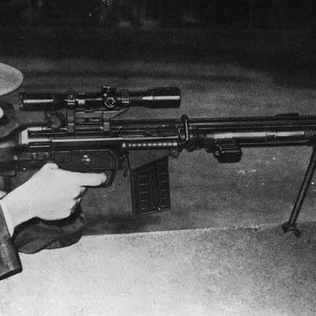 Heckler & Koch HK81 has a military-style trigger system