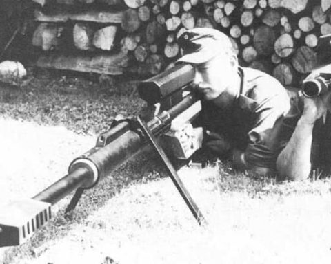 Steyr AMR 5075 in action