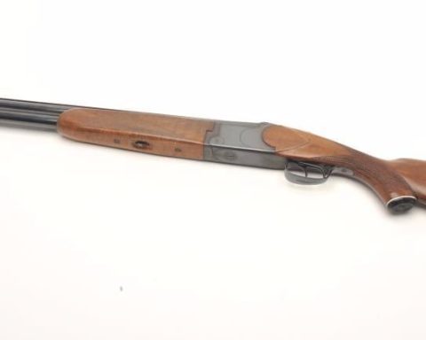 Astra 650 and Astra 750 shotguns